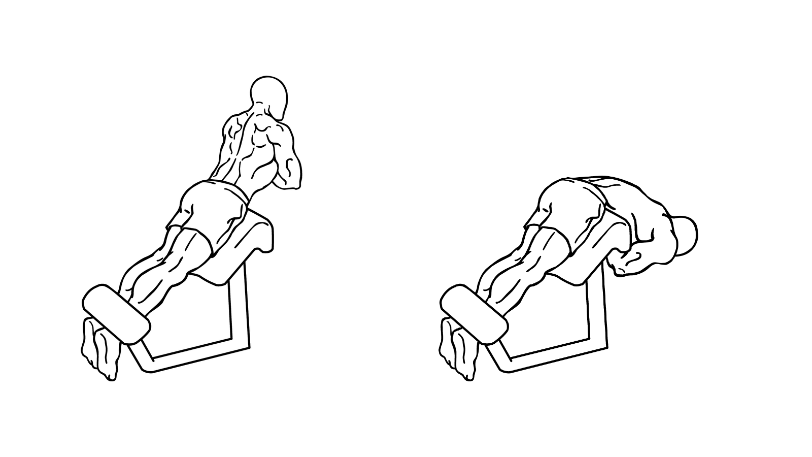 Diagram of person using a Roman Chair machine